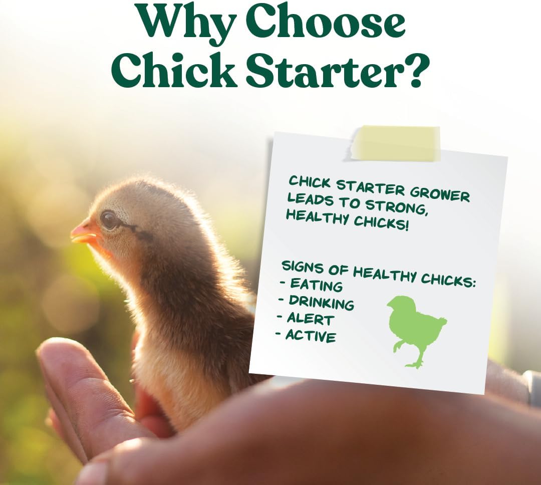 Chick Starter Grower - Medicated Chick Feed Crumble for Young Chickens - Formulated with Amprolium - 5 Lbs