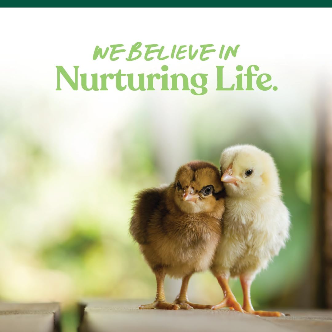Chick Starter Grower - Medicated Chick Feed Crumble for Young Chickens - Formulated with Amprolium - 5 Lbs