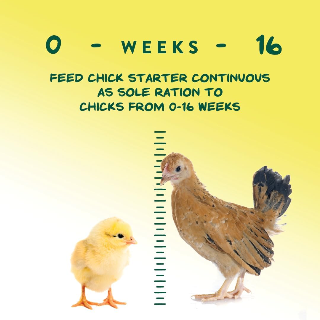 Chick Starter Grower - Medicated Chick Feed Crumble for Young Chickens - Formulated with Amprolium - 5 Lbs