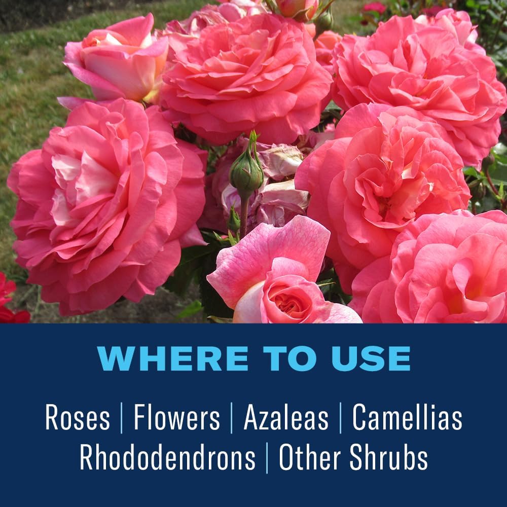 All-In-One Rose and Flower Care, Granules, 4 Lb