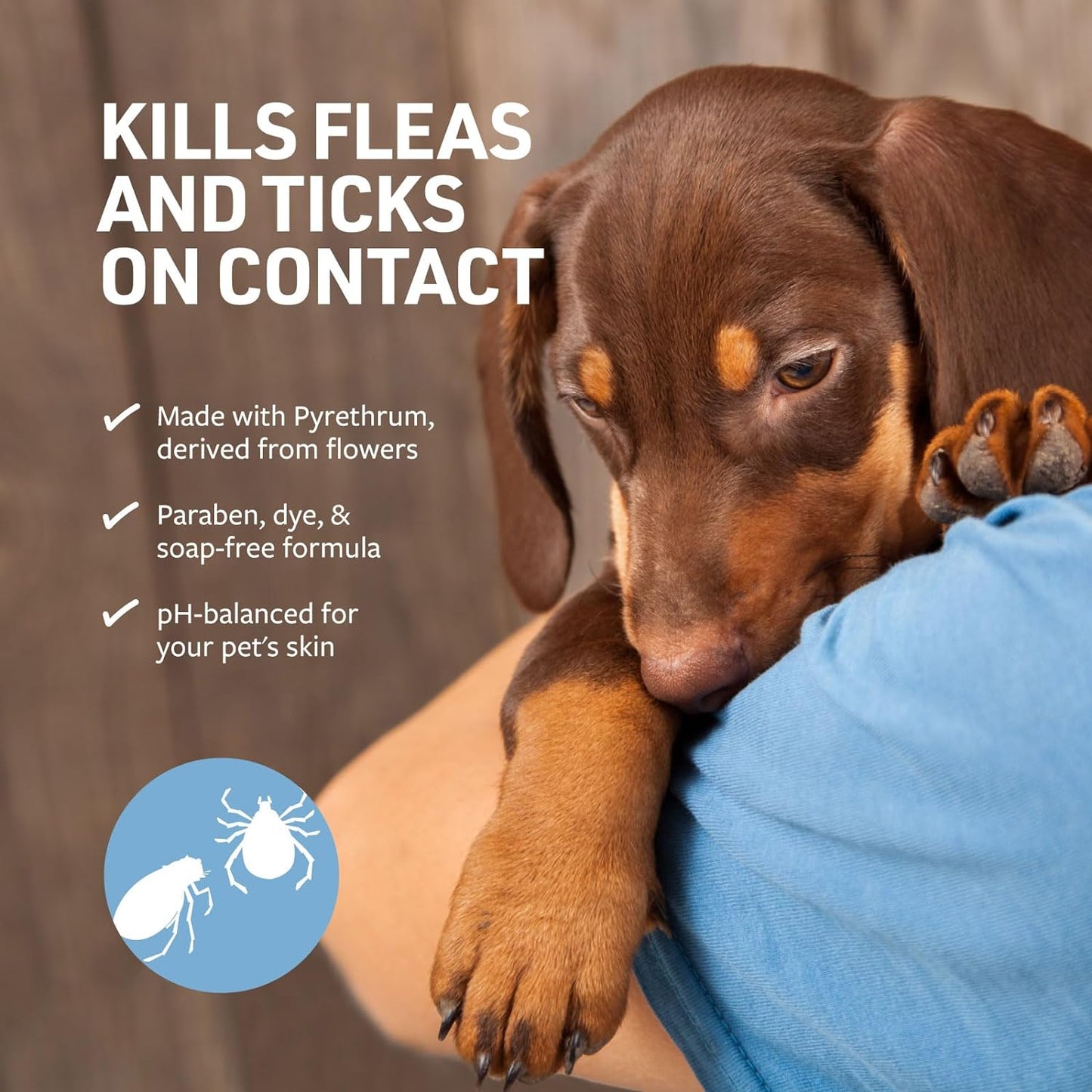 Flea and Tick Shampoo for Dogs and Cats, 16 Oz