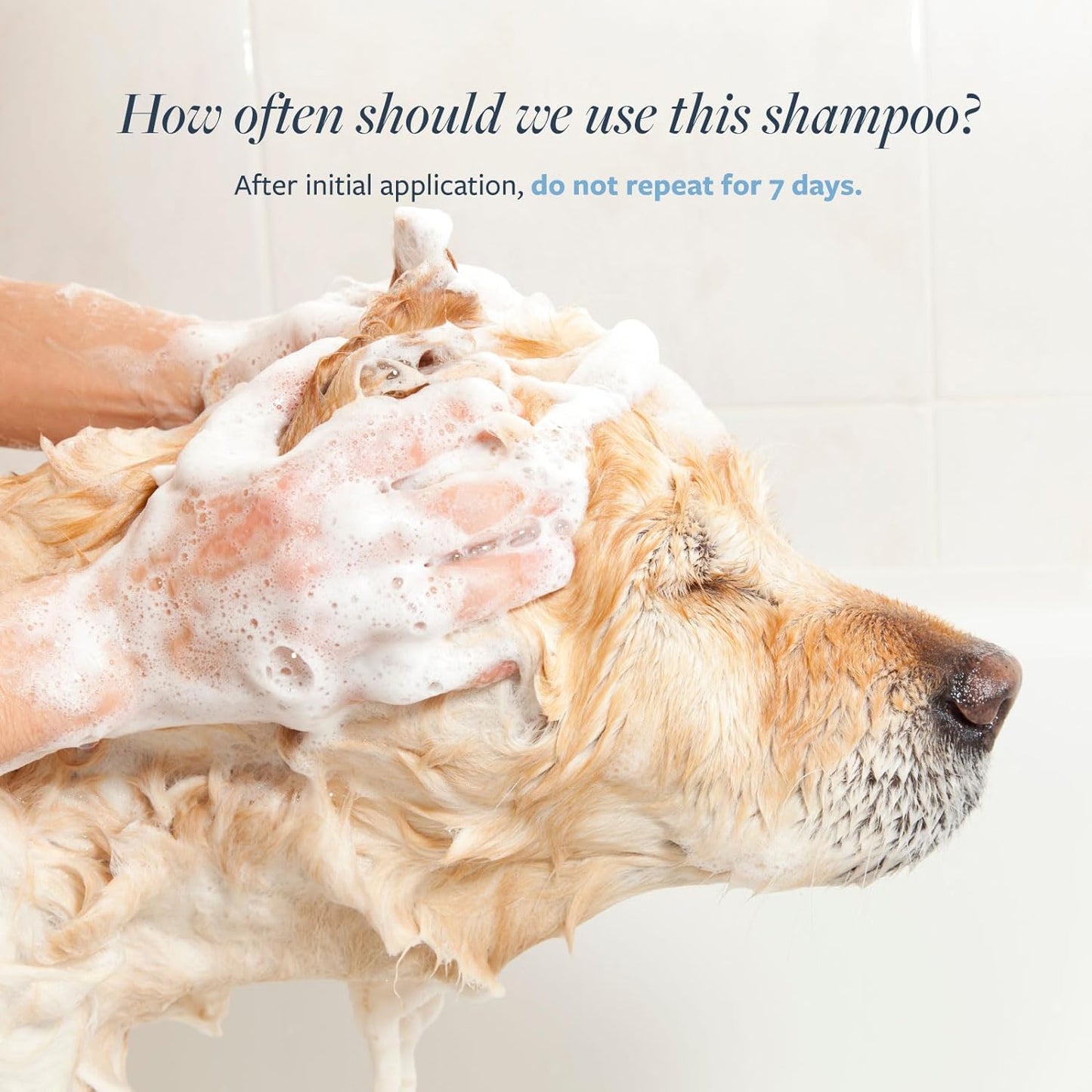 Flea and Tick Shampoo for Dogs and Cats, 16 Oz