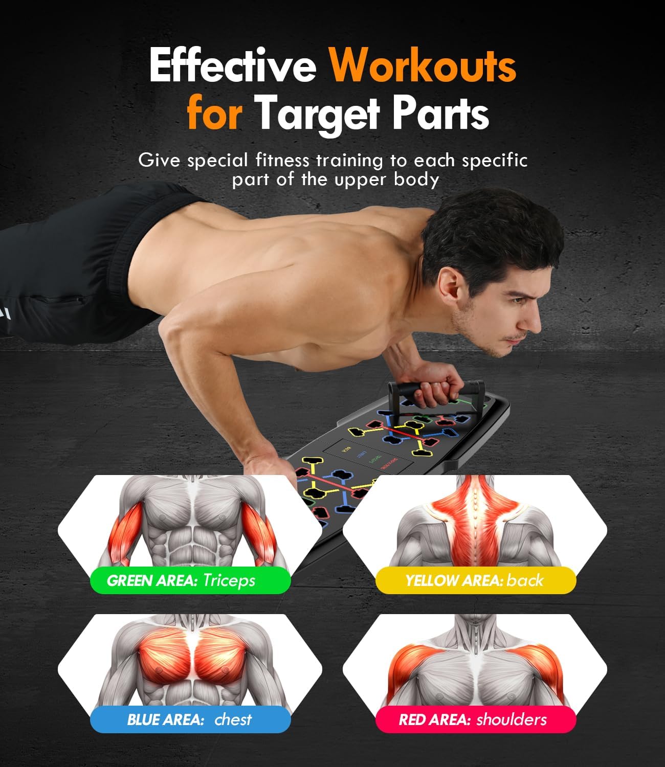 Push-Up Board Home Gym: Portable Fitness Equipment & 20 Accessories