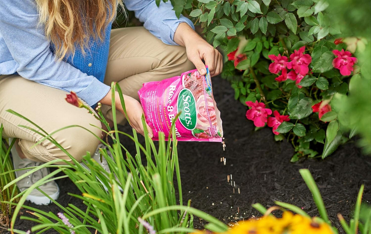 Rose & Bloom Continuous Release Plant Food, 3 Lb