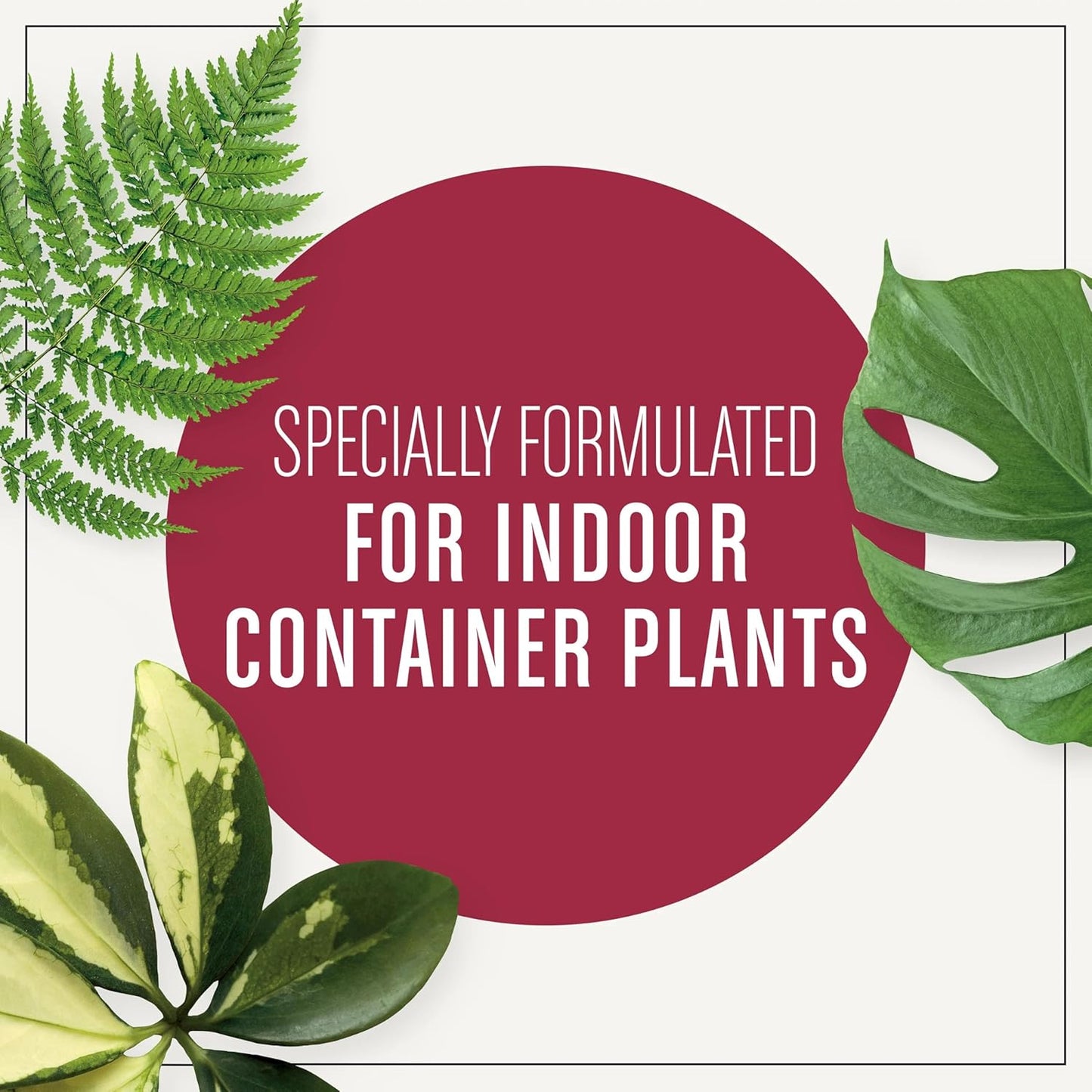 72574500 Houseplant Potting Mix: Fertilized, Perlite Soil for Indoor Gardening, Designed to Be Less Prone to Gnats, 1 Pack, 4 Qt