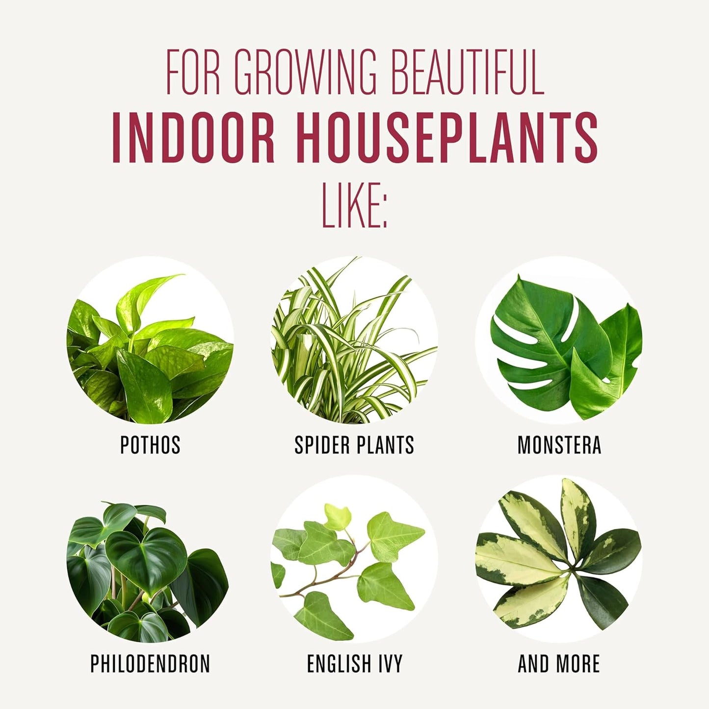72574500 Houseplant Potting Mix: Fertilized, Perlite Soil for Indoor Gardening, Designed to Be Less Prone to Gnats, 1 Pack, 4 Qt