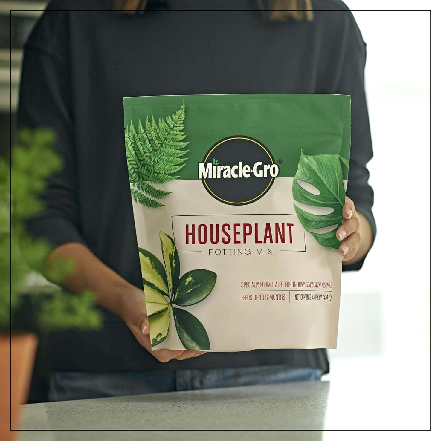 72574500 Houseplant Potting Mix: Fertilized, Perlite Soil for Indoor Gardening, Designed to Be Less Prone to Gnats, 1 Pack, 4 Qt