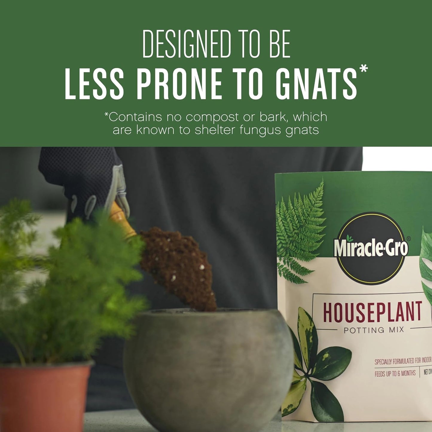 72574500 Houseplant Potting Mix: Fertilized, Perlite Soil for Indoor Gardening, Designed to Be Less Prone to Gnats, 1 Pack, 4 Qt