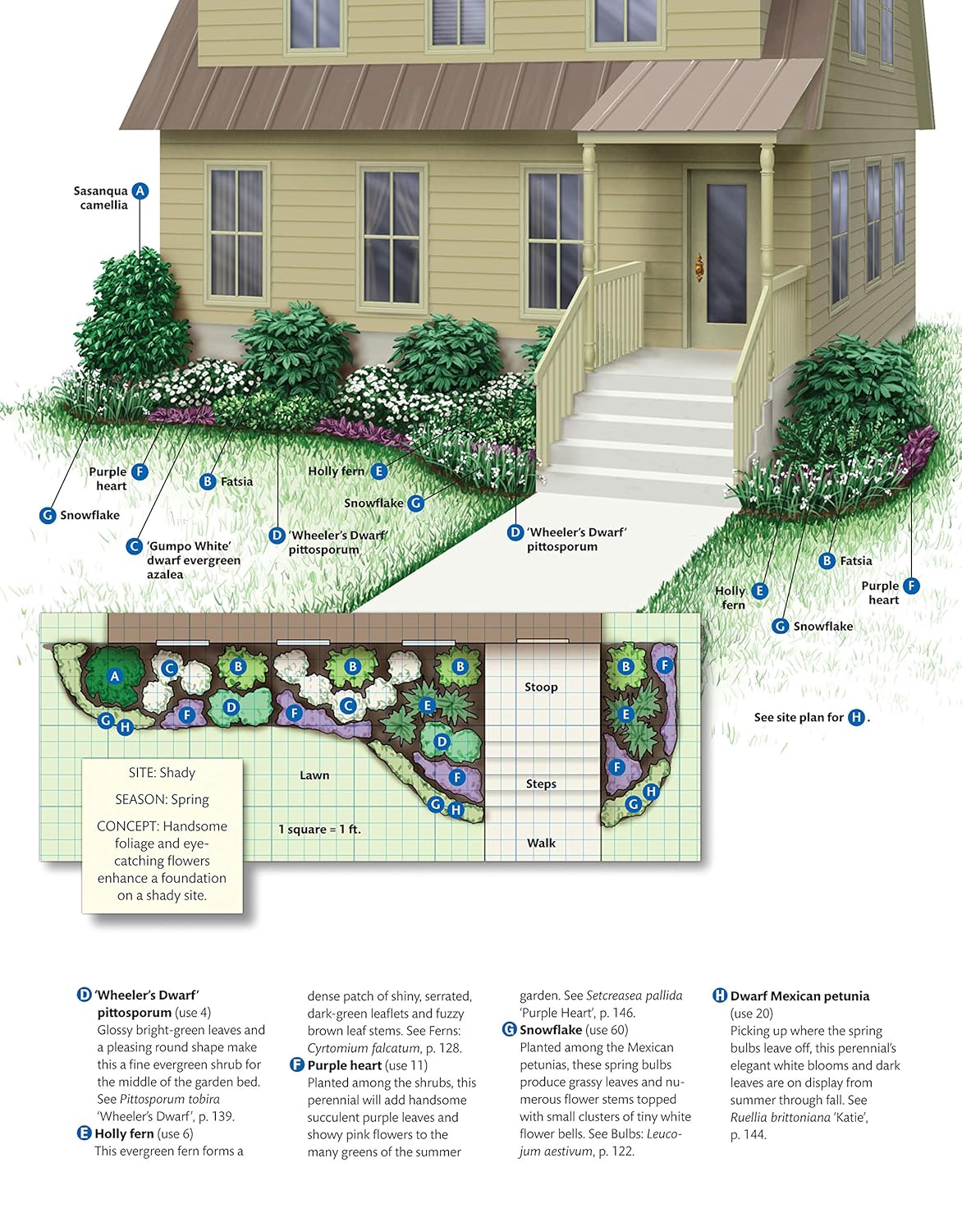 Texas Home Landscaping, 3Rd Edition: 48 Landscape Designs, 200+ Plants & Flowers Best Suited to the Region (Creative Homeowner) Gardening Ideas, Plans, and Outdoor DIY Projects for TX and OK