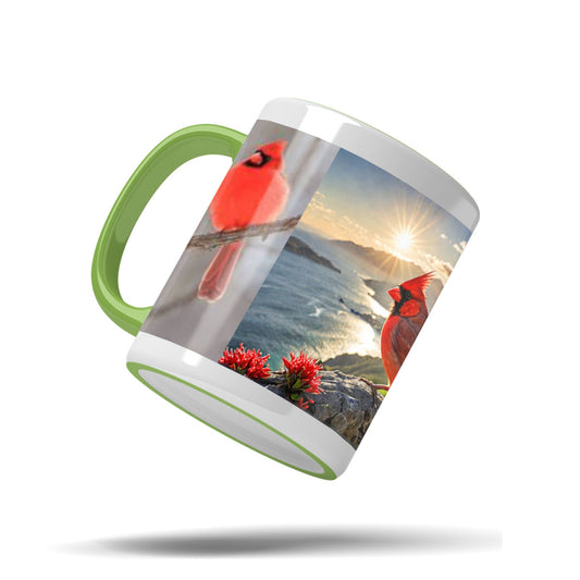 Accent Mug 11Oz (US)