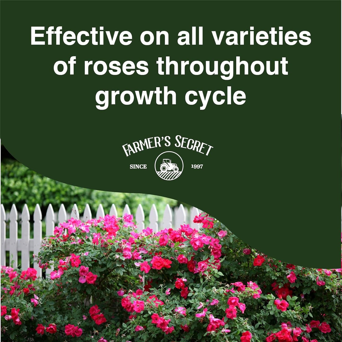 Rose Booster Fertilizer (32Oz) - Super Concentrated - Formulated for All Types of Roses Throughout the Life Cycle - Encourages Healthy Growth and Vibrant Blooms