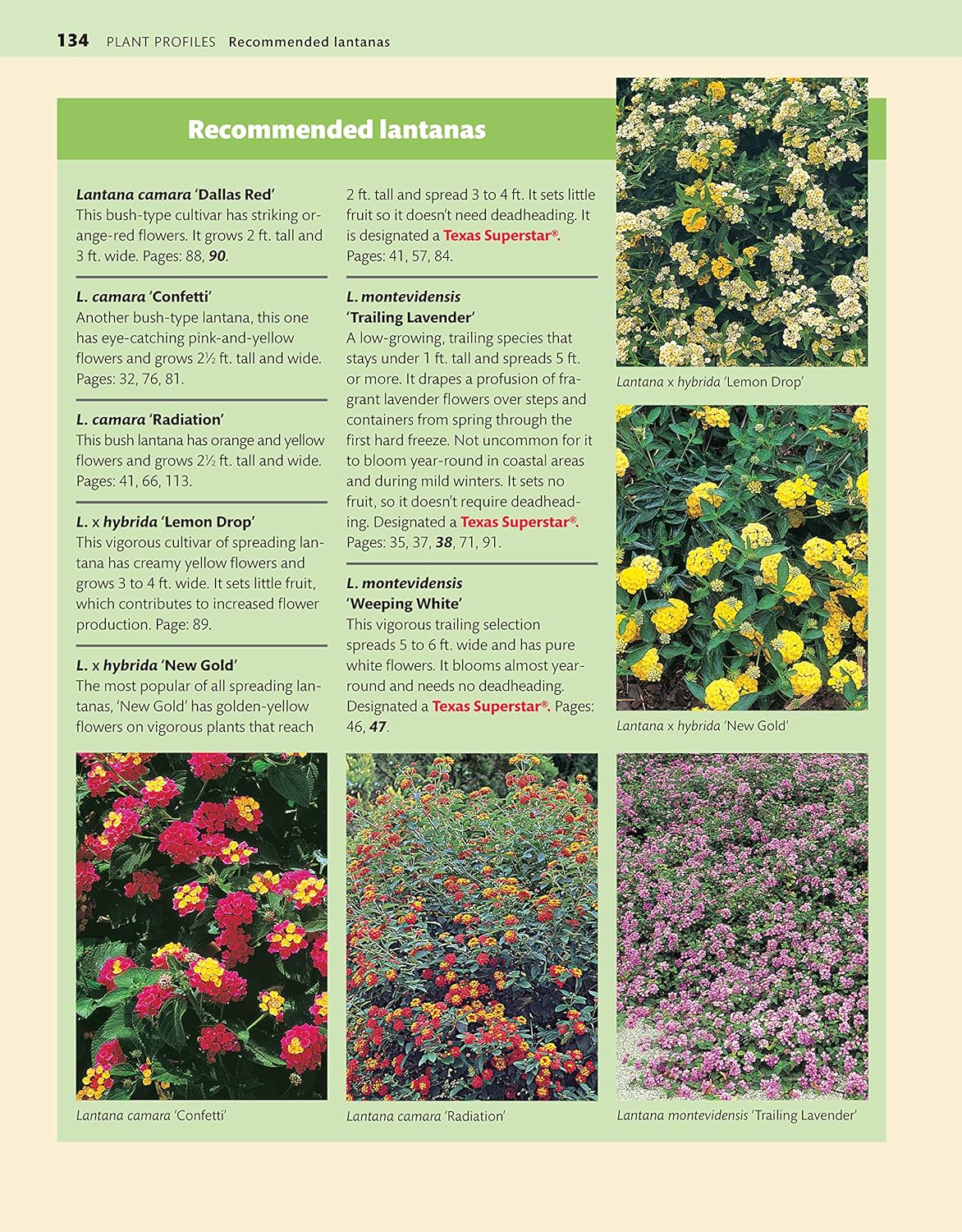 Texas Home Landscaping, 3Rd Edition: 48 Landscape Designs, 200+ Plants & Flowers Best Suited to the Region (Creative Homeowner) Gardening Ideas, Plans, and Outdoor DIY Projects for TX and OK