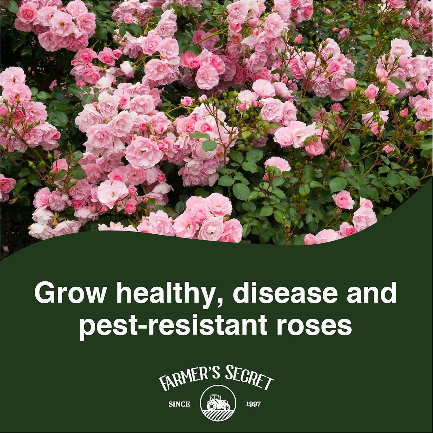 Rose Booster Fertilizer (32Oz) - Super Concentrated - Formulated for All Types of Roses Throughout the Life Cycle - Encourages Healthy Growth and Vibrant Blooms