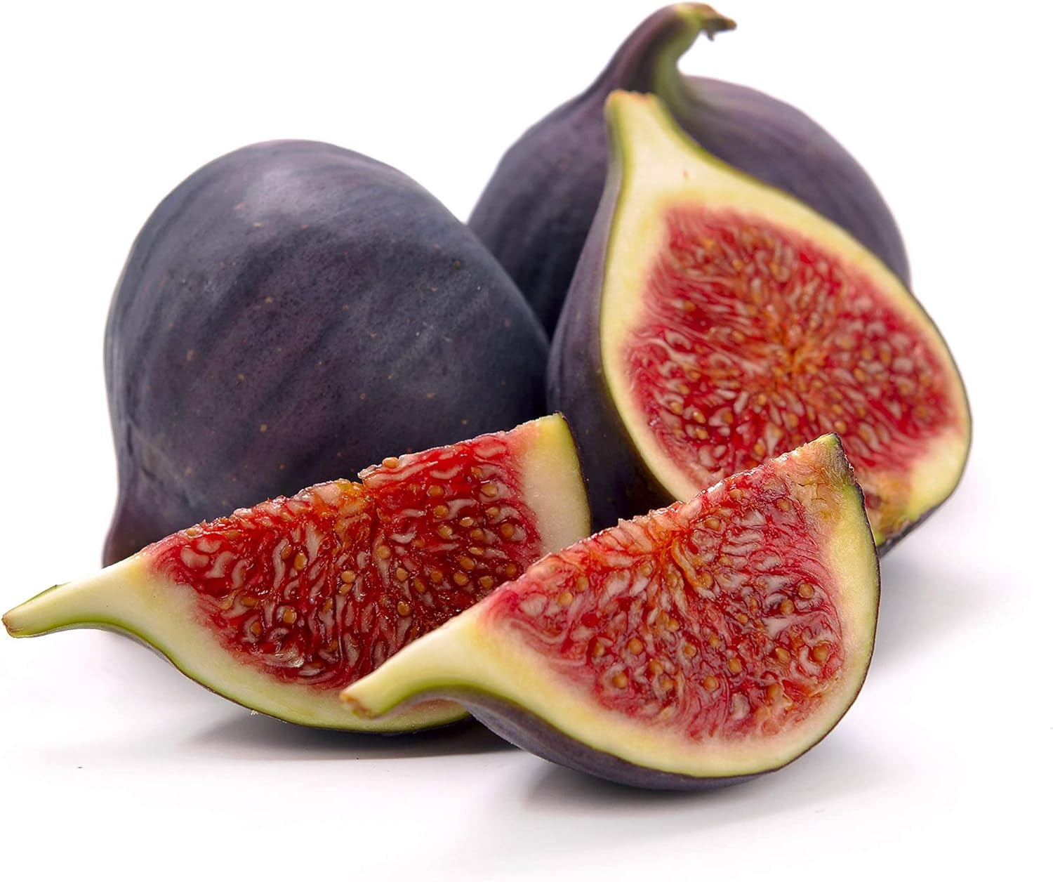 Beer'S Black Fig Tree (Dwarf Habit) Live Plant - Ficus Carica 'Beer'S Black' -  - Cold-Hardy Fig, Dwarf Fig Tree, Compact Fig Plant - Fruit Bearing Starter Tree