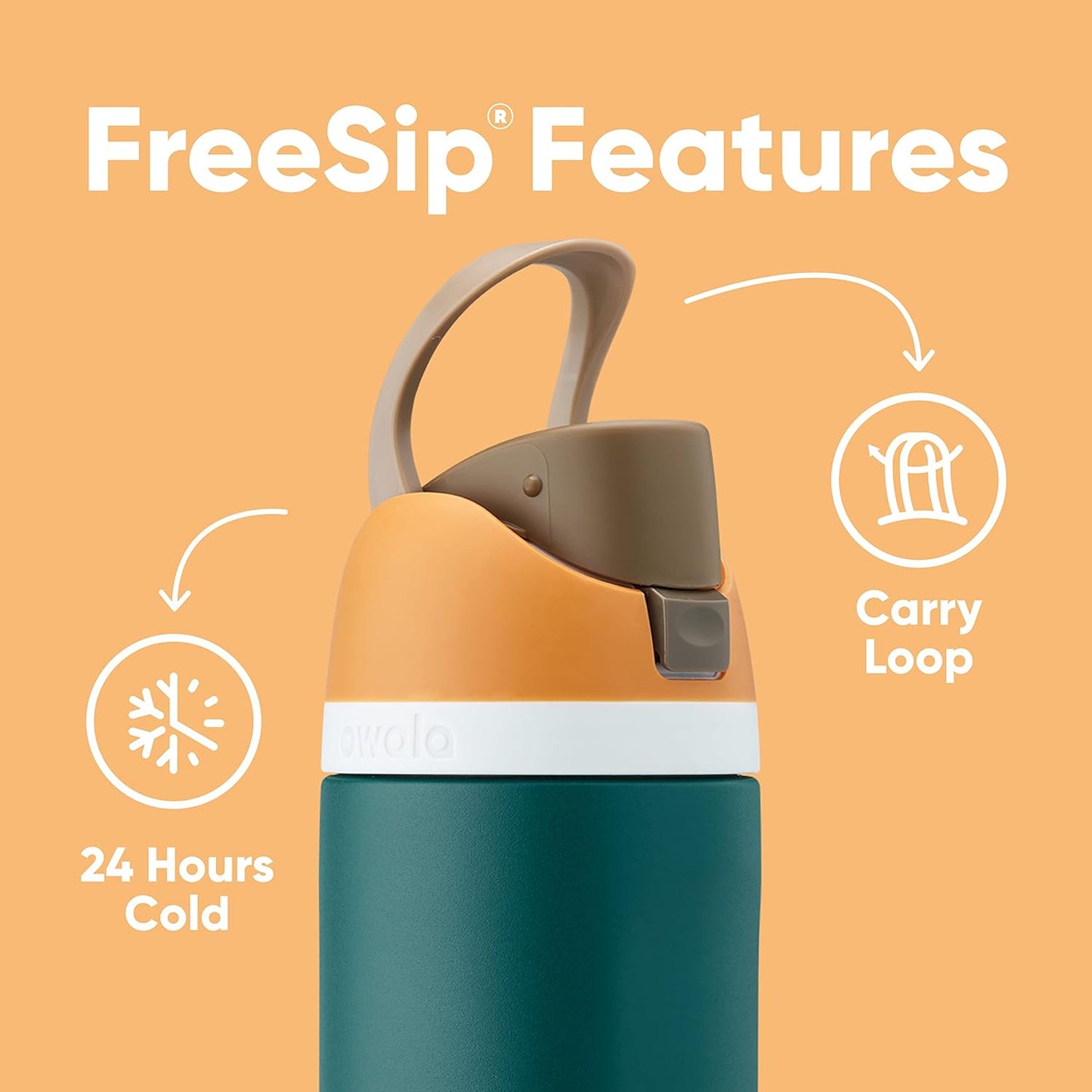 Freesip Insulated Stainless Steel Water Bottle with Straw for Sports and Travel, Bpa-Free, 24-Oz, Very, Very Dark