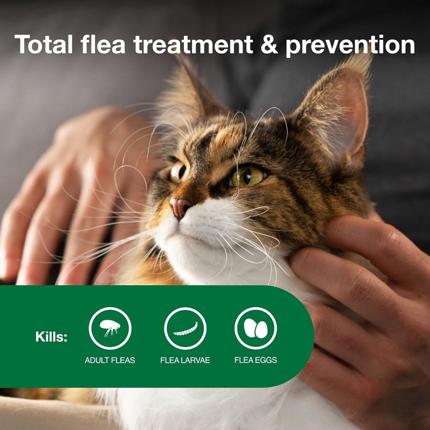 II Large Cat Vet-Recommended Flea Treatment & Prevention | Cats over 9 Lbs. | 2-Month Supply