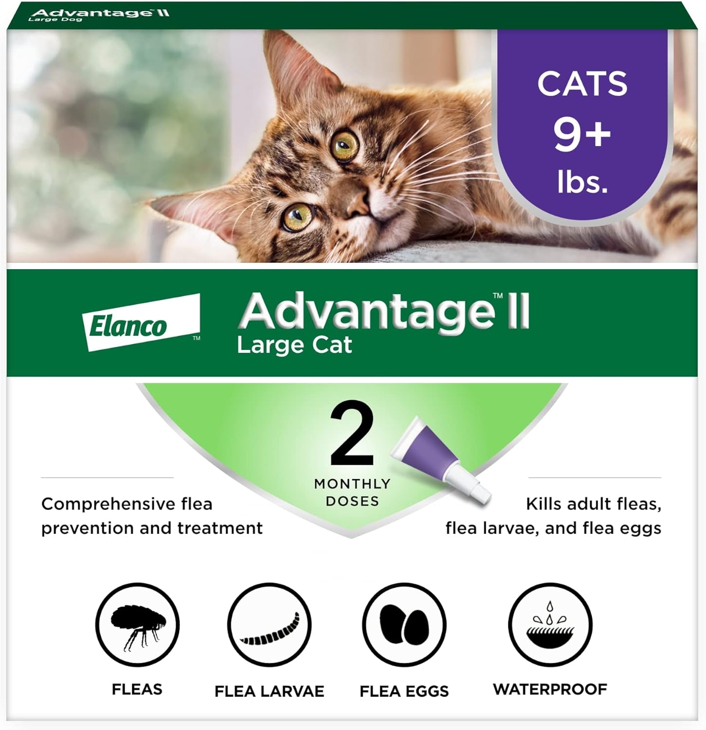 II Large Cat Vet-Recommended Flea Treatment & Prevention | Cats over 9 Lbs. | 2-Month Supply