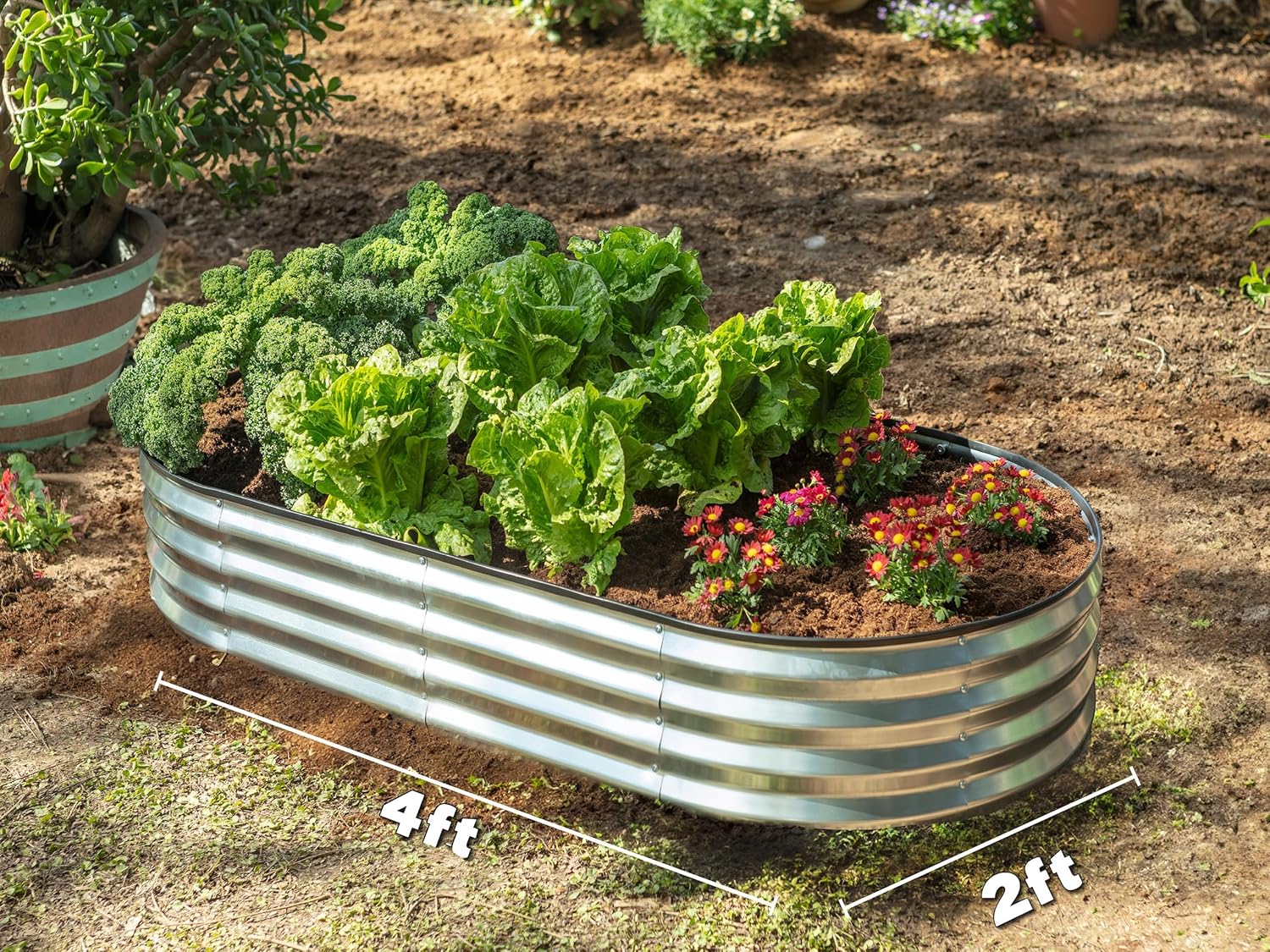 Galvanized Raised Garden Beds Outdoor // 4×2×1 Ft Planter Raised Beds for Gardening, Vegetables, Flowers // Large Metal Garden Box (Silver)