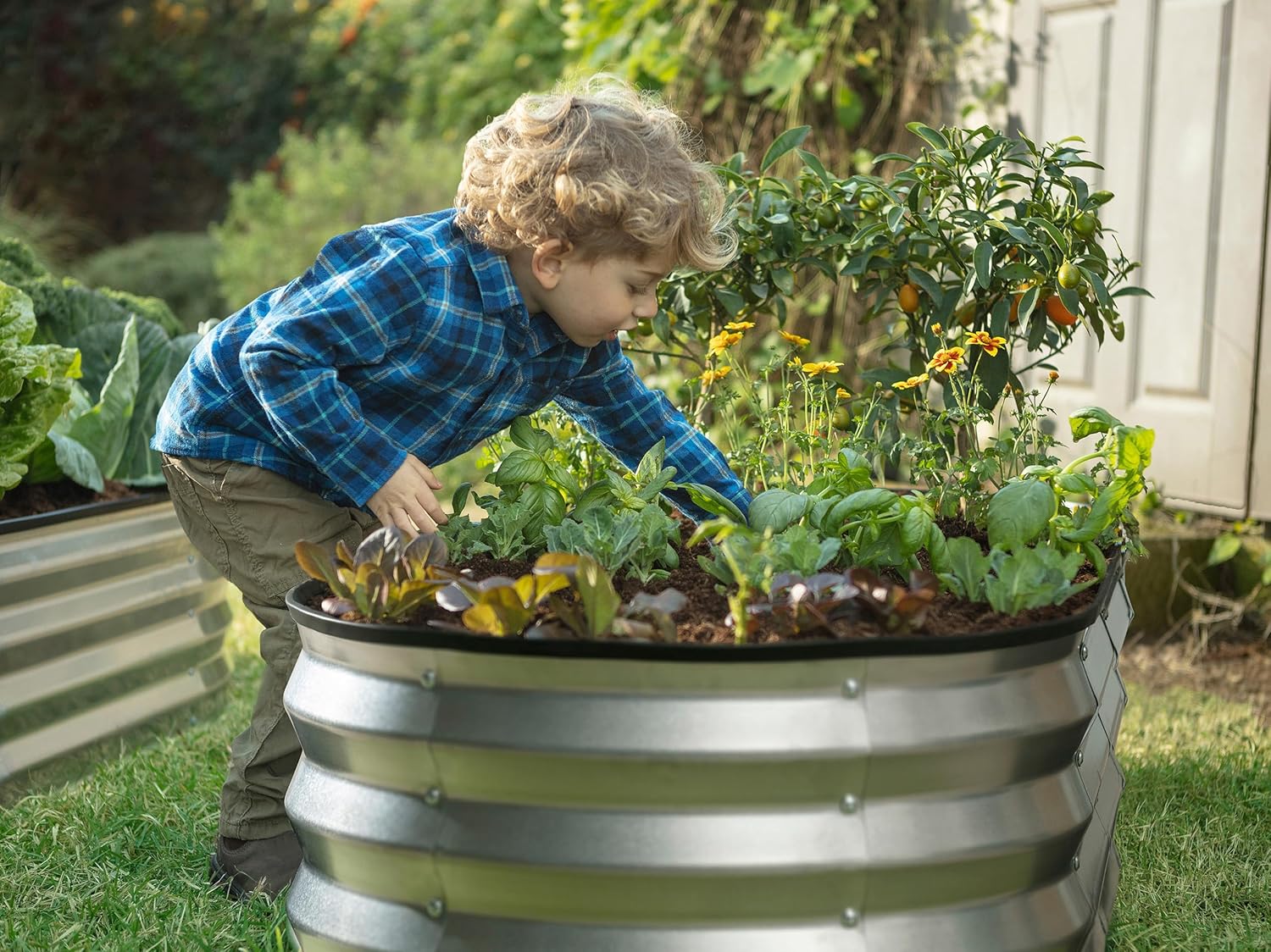 Galvanized Raised Garden Beds Outdoor // 4×2×1 Ft Planter Raised Beds for Gardening, Vegetables, Flowers // Large Metal Garden Box (Silver)