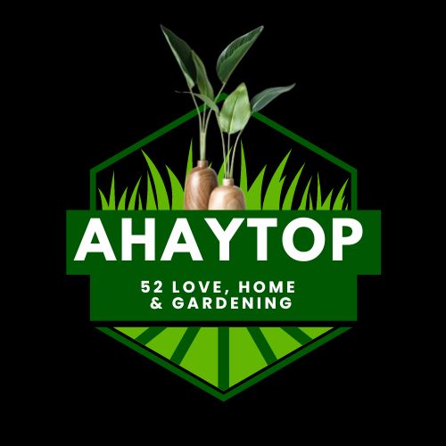 AHAYTOP